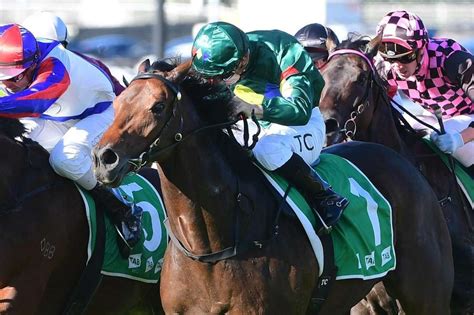 stradbroke handicap results|2022 Stradbroke Handicap Results: Alligator Blood Wins for .